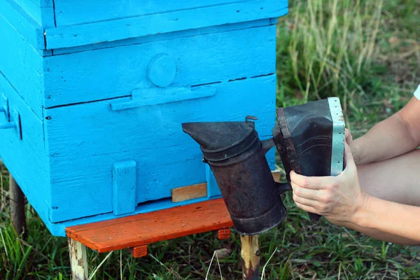 Vieux Fumeur Abeilles Dispositif Utilisé Apiculture Pour Calmer Les Abeilles — Photo