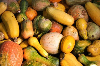 Kabak ezmesi, bol tarımsal üretim geçmişi.