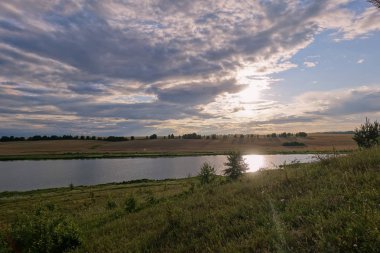 yabani otlar ve ağaçlar ile tepelik manzara