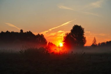 yabani otlar ile tepelik bir çayır üzerinde gündoğumu