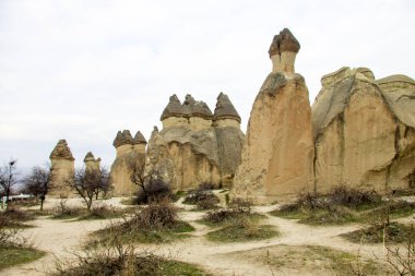 Pasa RahiplerVadisi Türkiye