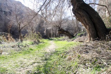 Yeşil Doğa Ihlara Vadisi Türkiye Ağaç Trekking