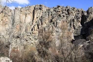 Yeşil Doğa Ihlara Vadisi Türkiye Ağacı 