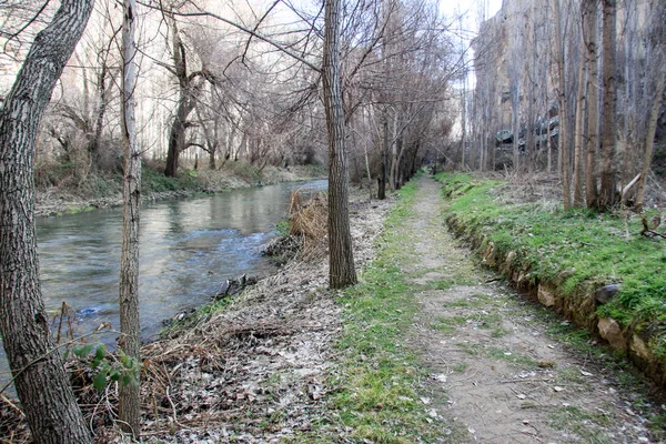 Natureza Verde Vale Ihlara Árvore Turquia — Fotografia de Stock