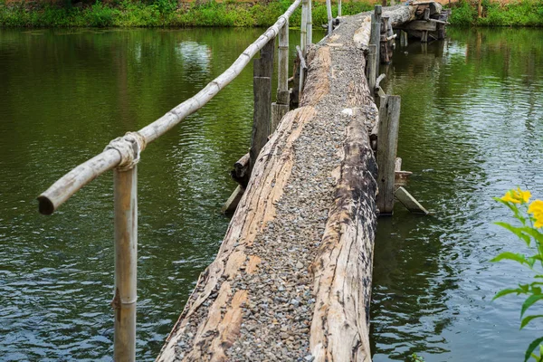 Walking Bridge Small River — Stock Photo, Image