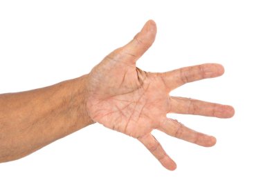 Beyaz bir arka plan üzerinde izole üst düzey kadın eli