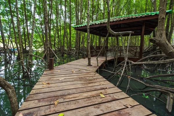 Wooden Bridge Mangrove Forest Tung Prong Thong Rayong Province Thailand — Stock Photo, Image