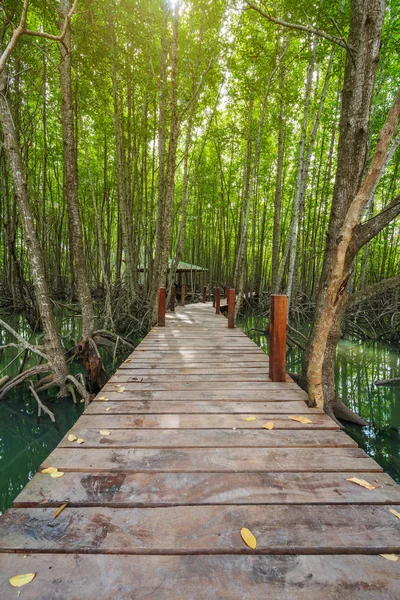 Wooden Bridge Mangrove Forest Tung Prong Thong Rayong Province Thailand — Stock Photo, Image