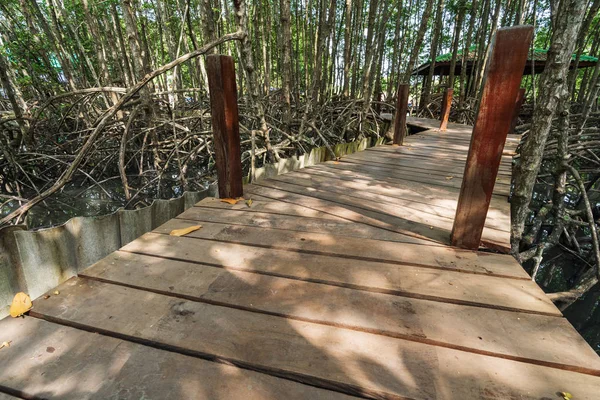 Dřevěný Most Mangrovových Lesů Tung Špice Thong Provincie Rayong Thajsko — Stock fotografie