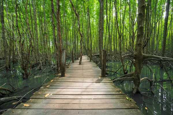 Houten Brug Een Mangrovebos Tung Prong Thong Provincie Rayong Thailand — Stockfoto