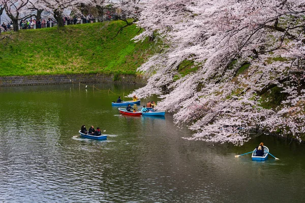 Festival de flores de cerezo en el Parque Chidorigafuchi. Chidorigafuchi P — Foto de Stock