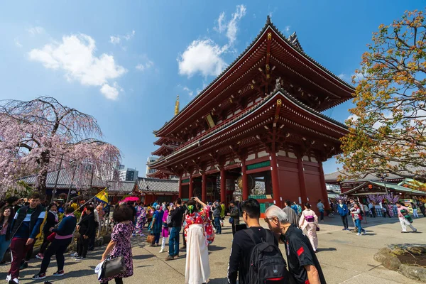 正体不明の人が桜の花を咲かせます浅草寺を訪れる — ストック写真