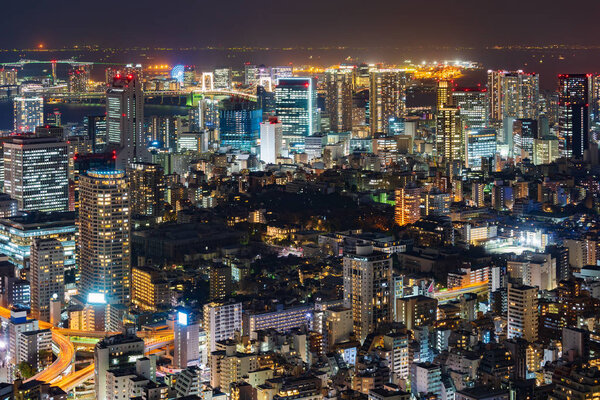 View of Tokyo city at twilight, Japan