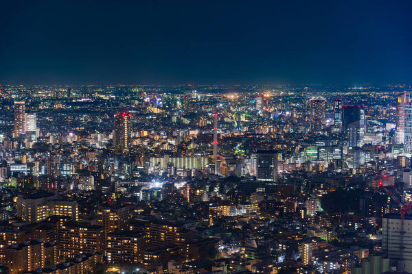 View of Tokyo city at twilight, Japan