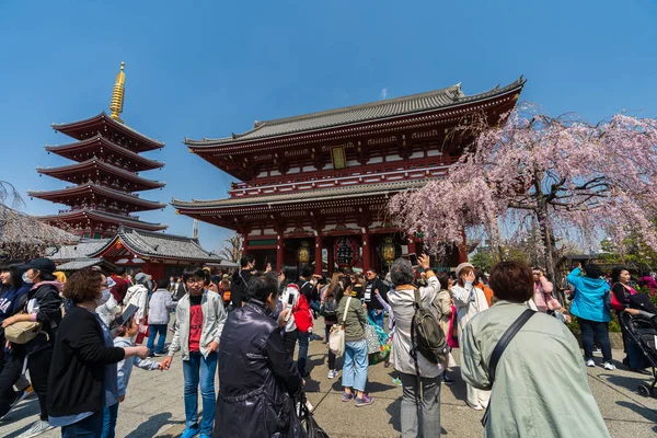 Pessoas não identificadas visitam o templo de Sensoji com flor de cereja em — Fotografia de Stock