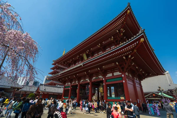 Personas no identificadas visitan el templo Sensoji con flor de cerezo en —  Fotos de Stock