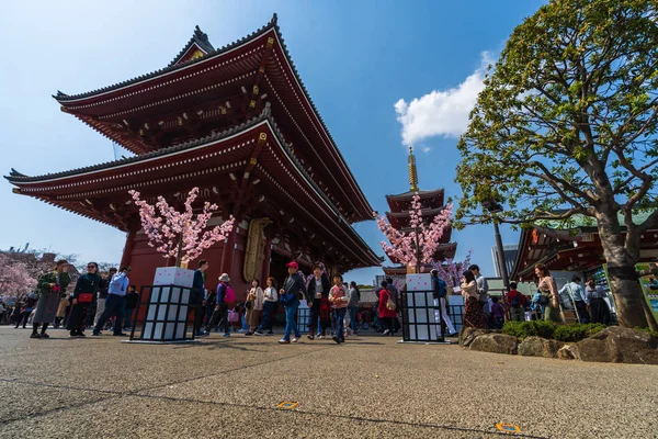 Неизвестные люди посещают храм Сенсодзи с цветущей вишней в — стоковое фото