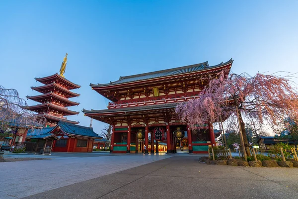 Templo de Sensoji com flor de cereja de primavera de manhã, Tóquio, Jap — Fotografia de Stock