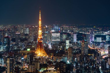 Alacakaranlıkta Tokyo şehri, Japonya