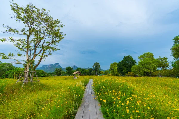 Trä bro med gul kosmos blomma fält — Stockfoto