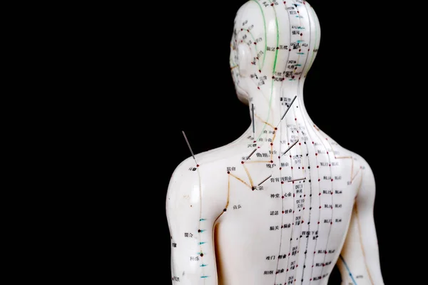 Modelo de acupuntura masculina con agujas sobre fondo negro —  Fotos de Stock