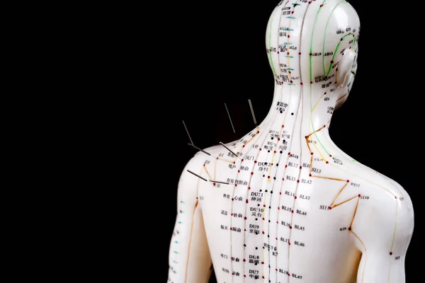 Férfi akupunktúrás modell tűkkel, fekete alapon Jogdíjmentes Stock Fotók