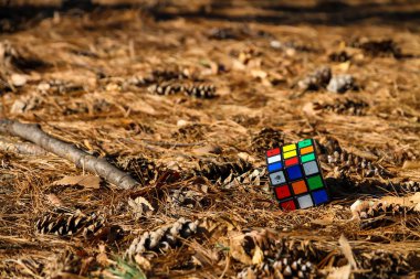 Rubik küp yaprak ve çiçek çam ağaçlarının ile katta yerleştirilir.