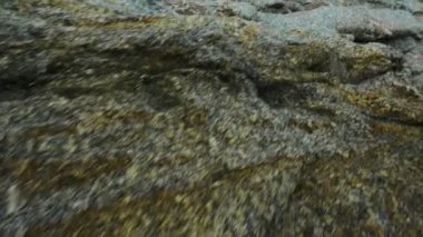 Doğal görünüm ve güzel manzara Krating Cape Nai Harn Beach, Phuket, Tayland