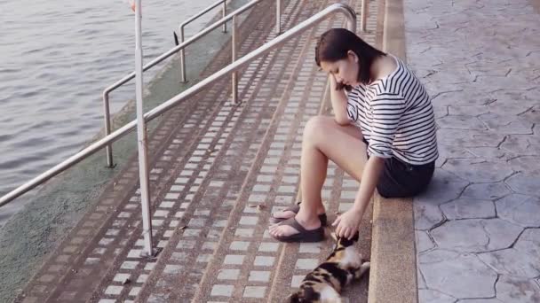Primer plano retrato de joven asiática mujer negro cabello soplando es sonriendo y jugando con un gato en el viento mirando a la puesta de sol cerca del río. Mujer vistiendo es camisa a cuadros blanco y negro con cámara lenta . — Vídeo de stock