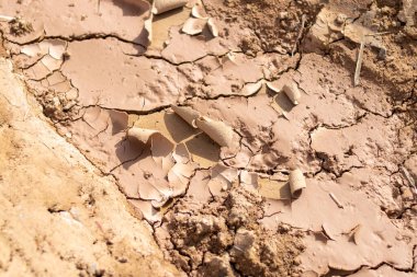 Kuraklığın toprak üzerindeki etkilerini araştırın. Çatlak toprağın karmaşık şekillerini vurgulayın..
