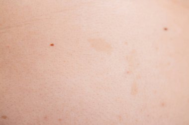 Küçük böcekleri araştırıyoruz. Açık yüzey, kapalı alan çevre makro görüntüsü.