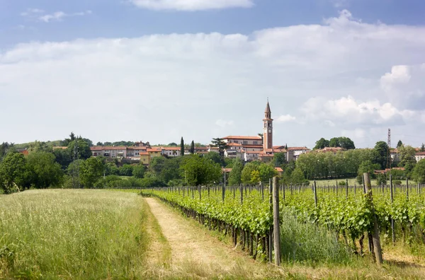 Aldeia Lucinico Perto Gorizia Itália Primavera Com Vinhas Primeiro Plano — Fotografia de Stock