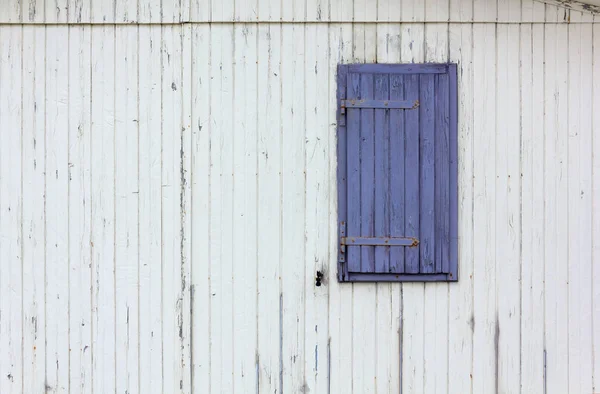 Closed Window Shutter Painted Purple Wooden Exterior White Wall — Stock Photo, Image