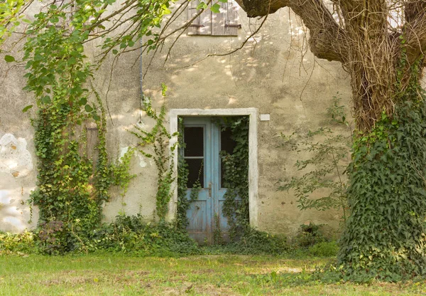 Προσοψη Του Ένα Εγκαταλελειμμένο Εξοχικό Σπίτι Εισέβαλε Από Κισσός — Φωτογραφία Αρχείου