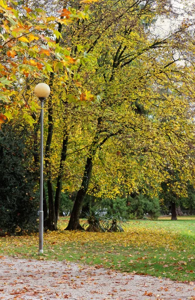 Městský Park Podzim Lampou Popředí — Stock fotografie