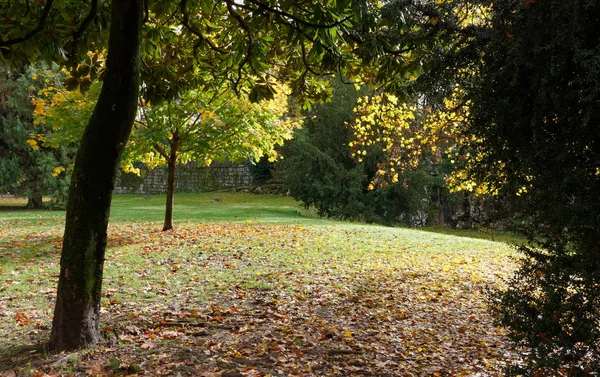 Městský Park Podzim Obklopen Porostlý Břečťanem Staré Zdi — Stock fotografie