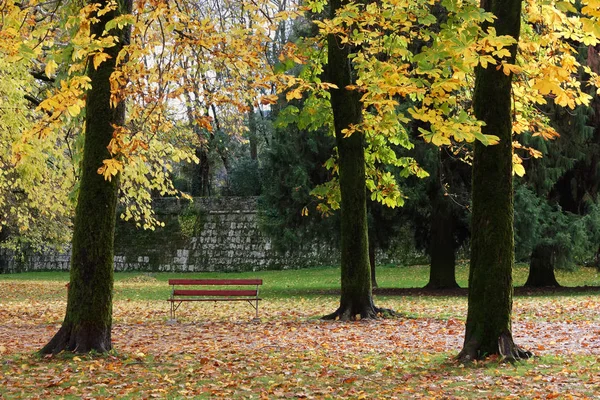 Červená Lavička Městském Parku Podzim — Stock fotografie