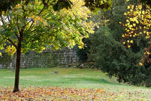 Městský Park Podzim Obklopen Porostlý Břečťanem Staré Zdi — Stock fotografie