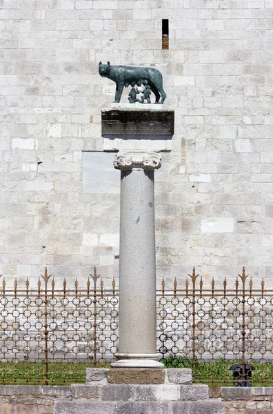 Romeinse Wolvin Bronzen Standbeeld Bovenaan Een Kolom Buiten Basiliek Van — Stockfoto