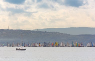 Renkli Yelkenli kalabalık regatta