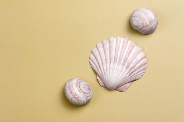 Drie Roze Schelpen Een Korrelig Zand Gekleurde Achtergrond — Stockfoto