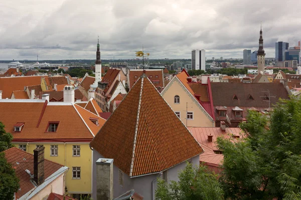 Tallinn Estland Einem Trüben Sommermorgen Vordergrund Die Altstadt — Stockfoto
