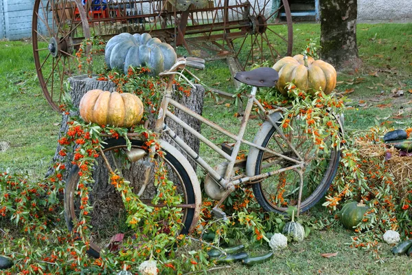 Old Rusty Bicycle Decorated Flowers Pumpkins Other Vegetables Leant Cut — Stock Photo, Image