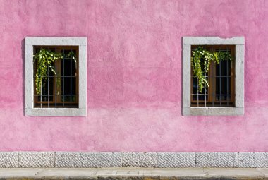 Mor Boyalı Dış Duvar