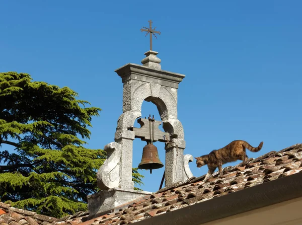 Pisica pe acoperișul unei biserici — Fotografie, imagine de stoc