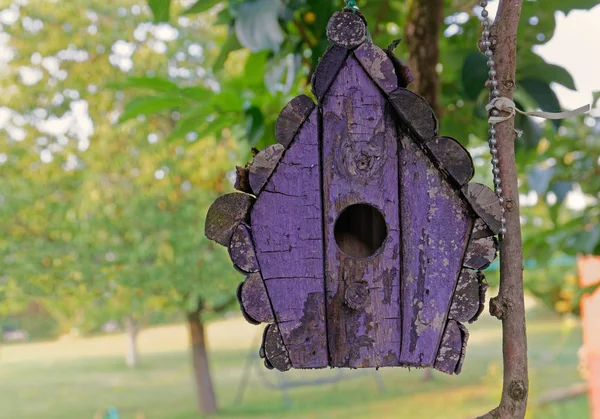 Paarse vogel huis in een tuin — Stockfoto