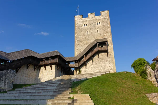 Вежа замку Целє — стокове фото