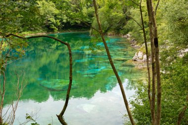 İtalya 'nın Friuli bölgesindeki küçük Cornino gölünün sularının inanılmaz turkuaz rengi.