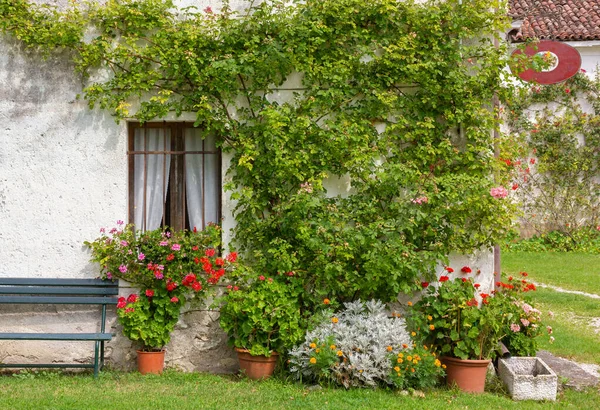 Fassade Eines Alten Traditionellen Ländlichen Gebäudes Mit Pflanzen Und Blumen — Stockfoto