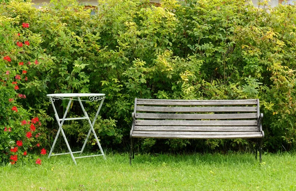 树篱附近花园的木制长椅和餐桌 — 图库照片